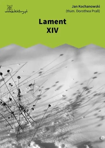Lament XIV
