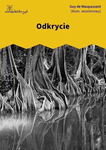 Odkrycie