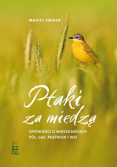 Ptaki za miedzą