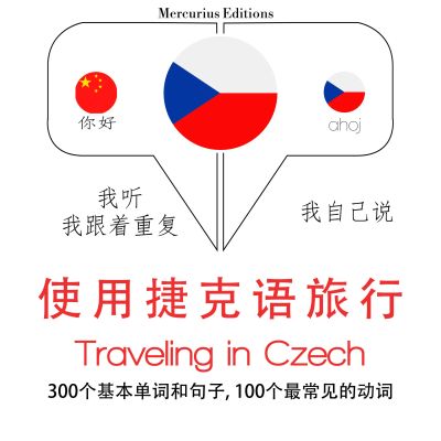 捷克語旅行單詞和短語