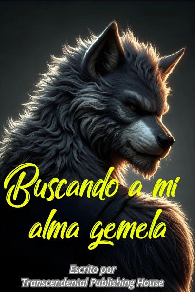 Buscando a mi alma gemela
