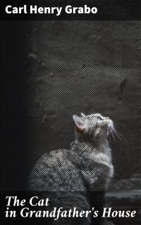 The Cat in Grandfather's House