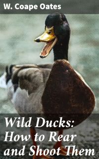 Wild Ducks: How to Rear and Shoot Them