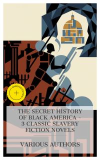 The Secret History of Black America – 3 Classic Slavery Fiction Novels