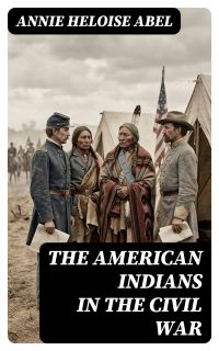 The American Indians in the Civil War