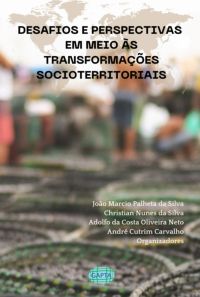 Desafios E Perspectivas  Em Meio Às Transformações Socioterritoriais