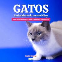 Gatos Curiosidades do Mundo Felino