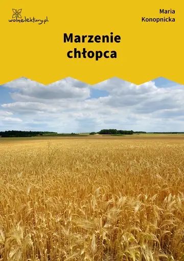 Marzenie chłopca