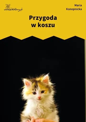 Przygoda w koszu
