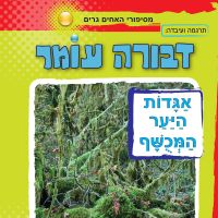 אגדות היער המכושף
