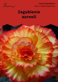 Zagubienie aureoli