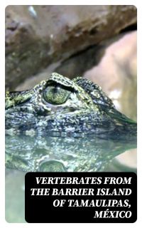 Vertebrates from the Barrier Island of Tamaulipas, México
