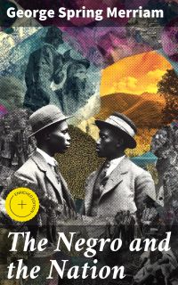 The Negro and the Nation