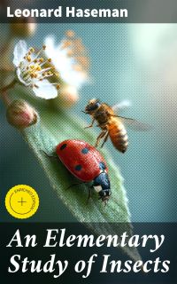 An Elementary Study of Insects