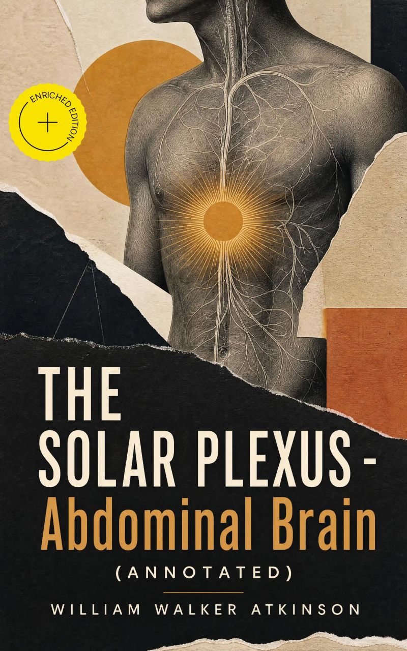 THE SOLAR PLEXUS - Abdominal Brain (Annotated)