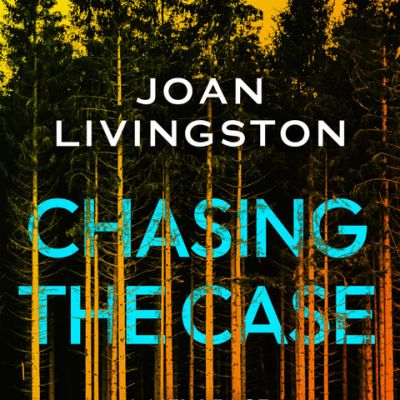 Chasing the Case