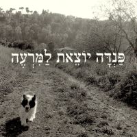 פנדה יוצאת למרעה