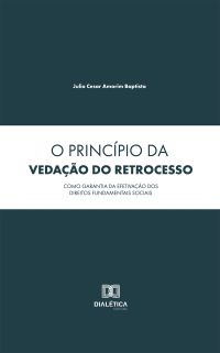 O Princípio da Vedação do Retrocesso como Garantia da Efetivação dos Direitos Fundamentais Sociais