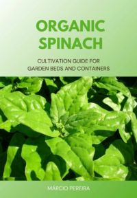 Organic Spinach