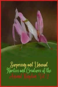 Surprising and unusual rarities and creatures of the Animal Kingdom. Vol. 2