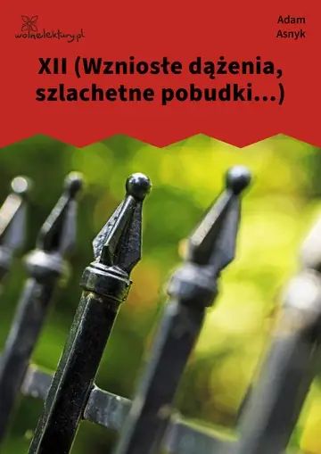XII (Wzniosłe dążenia, szlachetne pobudki...)