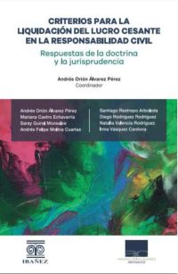 Criterios para la liquidación del lucro cesante en la responsabilidad civil
