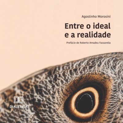Entre o ideal e a realidade