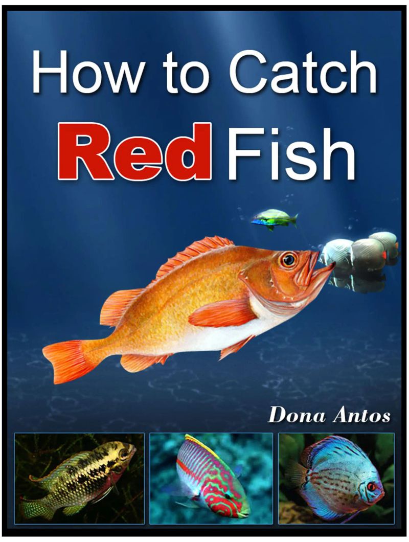 How To Catch Redfish