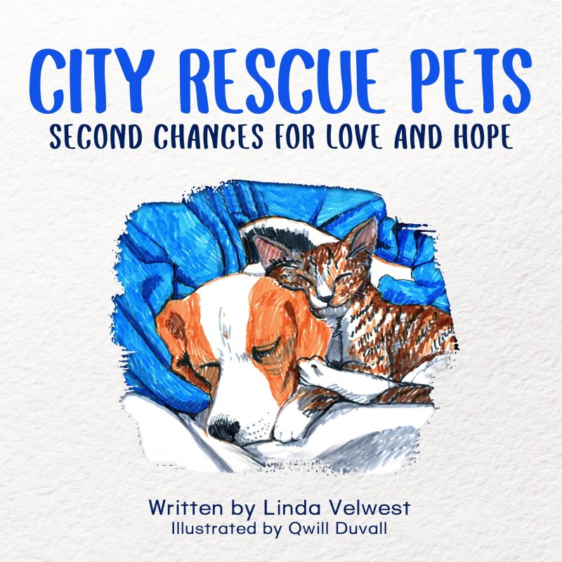 City Rescue Pets