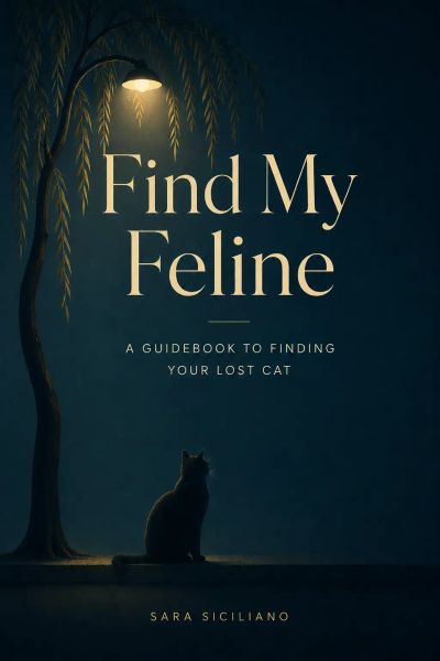 Find My Feline