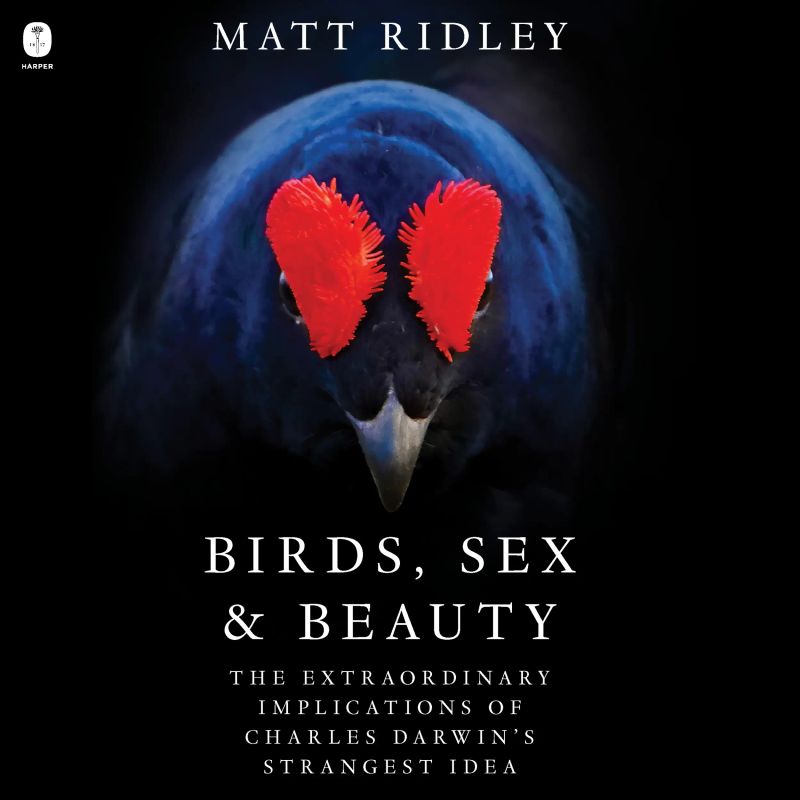 Birds, Sex and Beauty