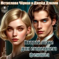 Второй шанс для сгоревшего феникса