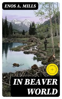 In Beaver World
