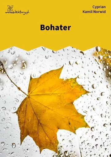 Bohater