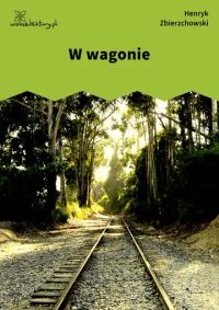 W wagonie