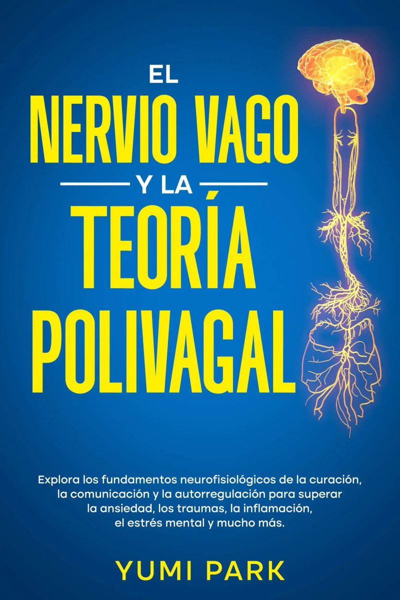 El Nervio Vago Y La Teoría Polivagal