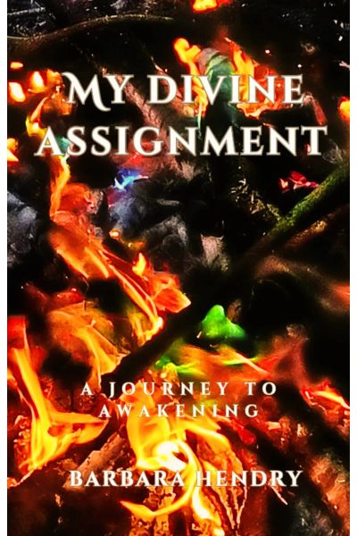 My Divine Assignment