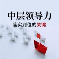 中层领导力：落实到位的关键