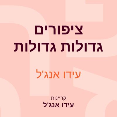 ציפורים גדולות גדולות