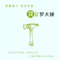 挥舞锤子，改变世界：我是罗大锤