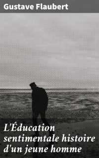 L'Éducation sentimentale histoire d'un jeune homme