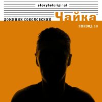 Чайка - Серия 10 - В блеске вспышек