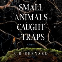 Small Animals Caught in Traps