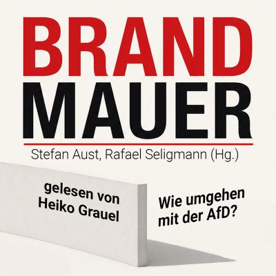 Brandmauer: Wie umgehen mit der AfD?