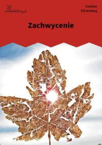 Zachwycenie