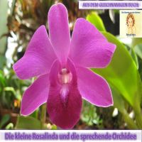 Rosalinda und die sprechende Orchidee