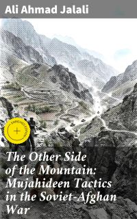 The Other Side of the Mountain: Mujahideen Tactics in the Soviet-Afghan War