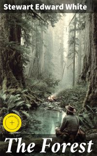 The Forest