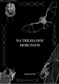 Na Trilha Dos Morcegos