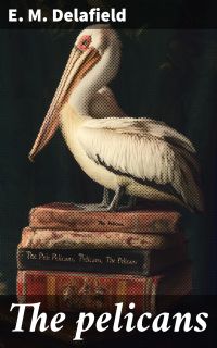 The pelicans